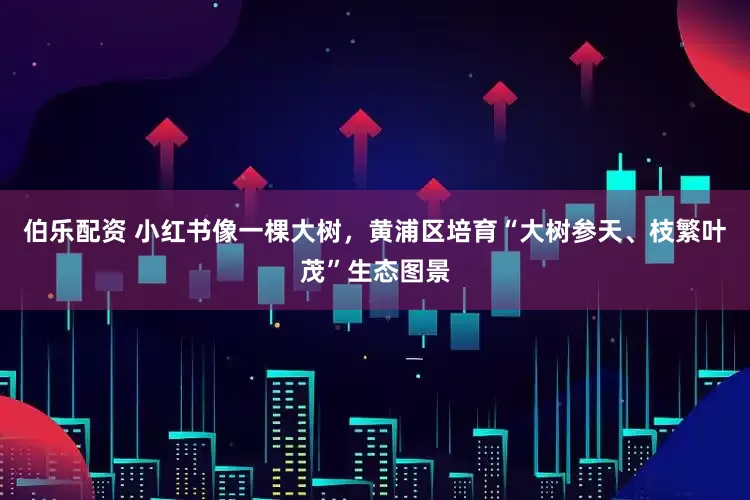 伯乐配资 小红书像一棵大树，黄浦区培育“大树参天、枝繁叶茂”生态图景
