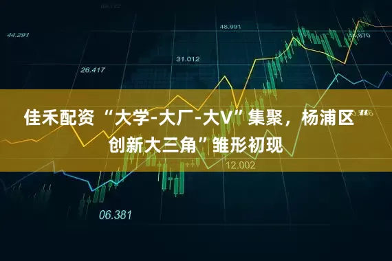 佳禾配资 “大学-大厂-大V”集聚，杨浦区“创新大三角”雏形初现