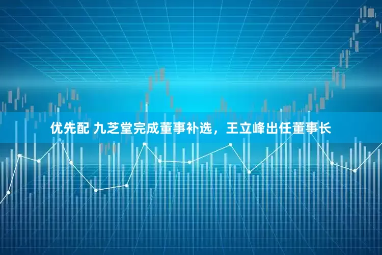 优先配 九芝堂完成董事补选，王立峰出任董事长